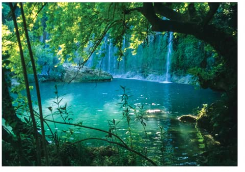 WallArena - Vlies Fototapete Wasserfall Wald Grün Natur Dschungel Landschaft 208x146 cm - Fototapeten - Tapeten - für Wohnzimmer Schlafzimmer - Vliestapete Wandtapete Tapete 3D Effekt- inkl. Kleister