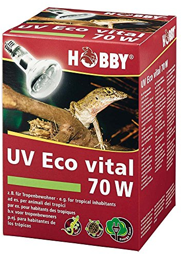 HOBBY Terraristik UV Eco vital I UV-Lampe für Terrarien I 70 W I UV- Lampe für die Reptilienhaltung I kosteneffiziente Mischlichtlampe für Reptilien I energieeffizient & langlebig