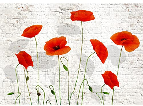 Runa Art Fototapete Blumen Mohnblumen Ziegel 352 x 250 cm Vlies Tapeten XXL Moderne Wandtapete Wohnzimmer Schlafzimmer Weiss Rot 9390011a