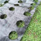 LAMF Unkrautvlies Mulchmatte für Gemüse, robuste Pflanzenschutzsperre für Garten, 100 x 360 cm, mit Pflanzlochdurchmesser 7,5 cm