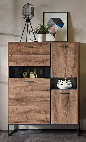 Froschkönig24 Manhattan Standvitrine Wohnzimmerschrank Schrank, fertig montiert Haveleiche Cognac