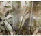 decomonkey - Papier Peint Panoramique Adhésif Plantes 196x140 cm - Stickers Muraux Salon Chambre Déco XXL Autocollant Murale Bureau - Gris marron vert - Jungle tropicale feuilles plantes nature
