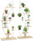 COSTWAY Support de Plante en Métal à 7 Niveaux, Étagère à Fleurs avec Crochet, Porte Plantes en Forme Demi-lune avec Dispositif Anti-renversement pour Salon Balcon 60 x 30 x 155 CM, Blanc (2 pièces)