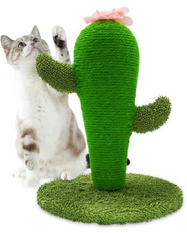 AUSCAT Colonne griffoir cactus pour chat, griffoir en sisal naturel, jouet d'intérieur pour chaton