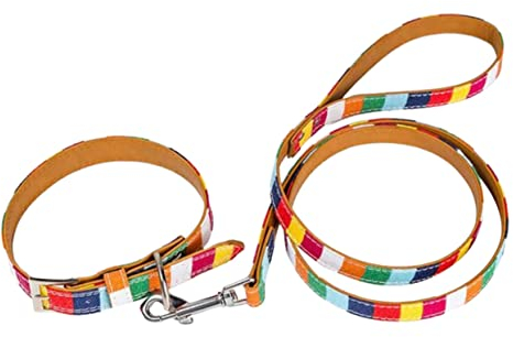 BESPORTBLE 1 Satz Schnauzer Halsbandleine Robuste Hundeleine Katzen-Halstuch Katzenhalsband Welpe Verstellbarer Leinengurt pet Supplies haustierbedarf Gürtel Hund zugseil Colorful