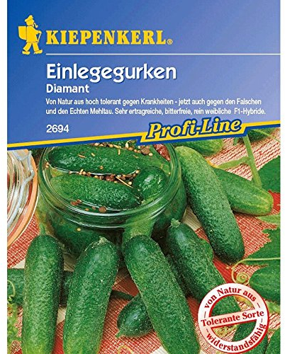 EinlegegurkenDiamant F1,1 Portion