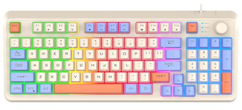 Lancoon Kabelgebundene Gaming Tastatur mit 94 Tasten Mechanisch 3 Farben Gemischte Tastenkappen Cooler Lichteffekt Verstellbare Halterung Multimedia Funktion für PC Computer (Blau)