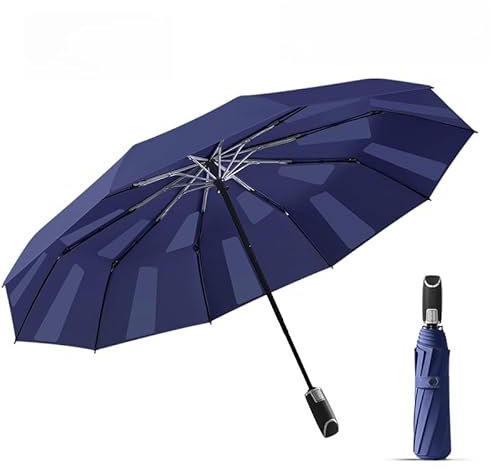 erised's bifrost Schnell faltbarer automatischer Reise-Regenschirm mit fester Folie, groß, winddicht, automatisches Öffnen, Schließen, 10 Rippen, rostfrei, tragbar, Sonnenschutz, Regen, Damen, Herren,