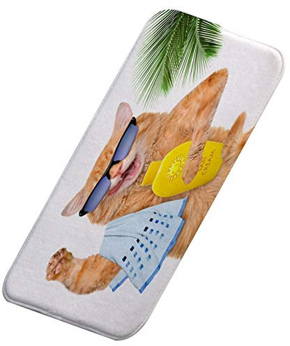 A.Monamour rutschfest Saugfähig Waschbar Badematte Lustige Braune Katze Mit Sonnenbrille Cartoon Tier Weich Flanell Badezimmerteppich Badteppich Badvorleger Badewanne Dusche Duschvorleger