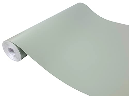 DecoMeister Klebefolie Möbel 45x1500 cm | Selbstklebende Möbelfolie in glänzend und matt - PVC Folie für Möbel | Selbstklebende Folie für schnelle Umgestaltung und Renovierung | Blass Grün Matt