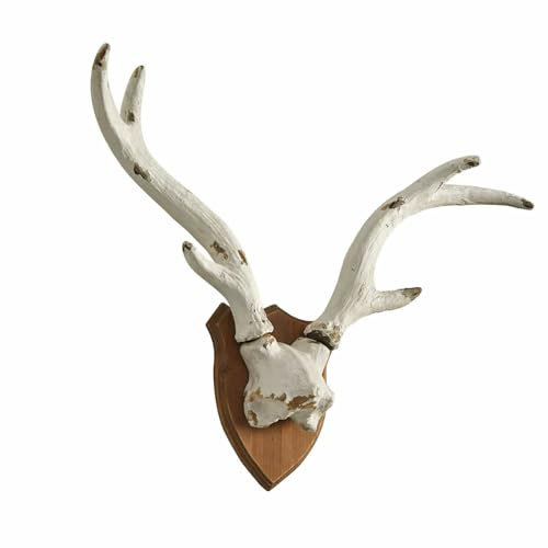 Loberon Deko-Geweih Talim, auf Kunstvollem Trophäenschild, Eindrucksvolle Größe, Weihnachten, Weihnachtsdekoration, Wanddeko, Polyresin, Tannenholz, weiß