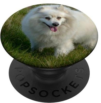 Amerikanischer Eskimo Eskie PopSockets mit austauschbarem PopGrip