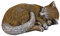 gartendekoparadies.de Schlafende Katze braun, Steinfigur, H. 11 cm, 4,5 kg, Braun, frostsicher aus Steinguss für Außenbereich