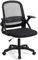 T-THREE.Adjustable ergonomic mesh swivel chair, office and study seat with lumbar support, height adjustment, 360° rotation, 90° flip-up armrests for home office(Black)