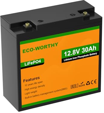 ECO-WORTHY LiFePO4 - Batteria da 12 V, 30 Ah, con protezione BMS e max. 15000 cicli, 384 Wh al litio da campeggio, 12 V, 30 Ah, per camper, motore da traina, barca