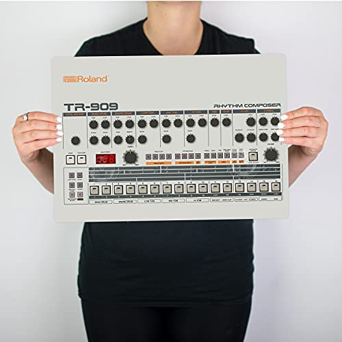Digital Pharaoh TR909 Retro-Synth-inspiriertes Kunstwerk mit Säurehaus-Metall-Kunstwerk (A3)