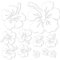 Finest Folia Dekoaufkleber Hibiskus Blumen Home Deko Aufkleber zuhause Sticker wohnen Toilettendeckel Kühlschrank Laptop Toilette selbstklebend K165 (02 Weiß)