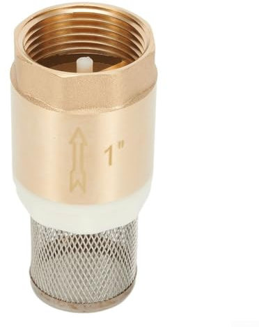 DN25 Messing-Fußventil mit Rückschlagventil und Sieb-Design