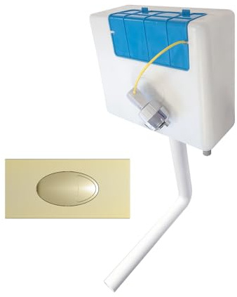 Concealed Bottom Entry Toilet Cistern Inc Brushed Brass Flush Plate | Brushed Brass Dual Flush Plate | Bottom Entry Water Feed | Flush Plate Includes Access Panel |