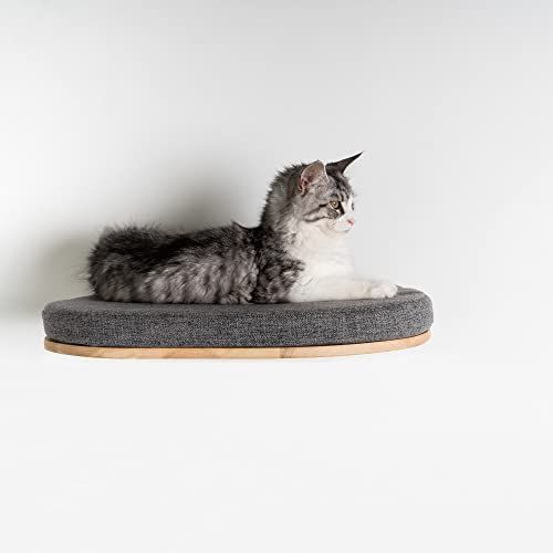 RHRQuality Wandmöbel Kletterwand Katze – Luxuriöses Katzenbett 50 cm – Tragkraft bis zu 20 kg – Für große Katzen – Mit herausnehmbarem Kissen – Grau