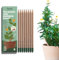 SproutWorld Bleistift | Original Edition | Pflanzbare Graphite Stifte mit Blumensamen | Umweltfreundliches Bio-Holz | Nachhaltiges Geschenk Ideal zum Zeichnen, Skizzieren & Schattieren | 8er Pack