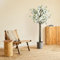 BLAINE | Amandier Blanc 150cm | Plantes Artificielles Interieur | Plantes Artificielles | Plante Artificielle Exterieur | Grande Plante Artificielle Interieur | Arbre Artificiel | Fausses Plantes