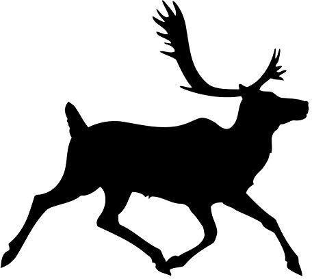 kleb-Drauf | Hirsch | Verschiedene Größen und Farben | Wandtattoo Wandaufkleber Wandsticker Aufkleber Sticker | Wohnzimmer Schlafzimmer Kinderzimmer Küche Bad