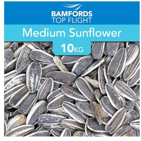 Bamfords Premium Striped Sunflower Seeds Parrot Parakeet Wild Garden Bird Seed Energy 10kg