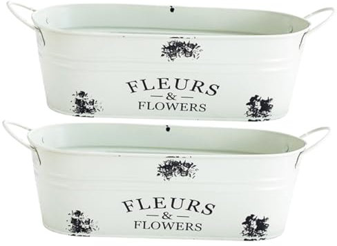 HANABASS 2pezzi Vasi Metallo Vintage Per Piante Fioriere Decorative Da Ed Esterno Per Succulente e Fiori Freschi Perfetti Per Balcone e Giardino