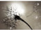 Runa Art Fototapete Pusteblume Sonne 352 x 250 cm Vlies Tapeten XXL Moderne Wandtapete Wohnzimmer Schlafzimmer Braun 9501011a