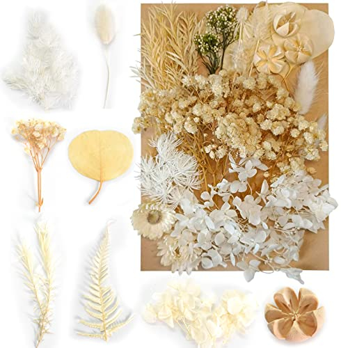 Disnace Natürliche Getrocknete Blumen, Blumen Natürliche Gemischte, DIY Natürliche Trockenblumen Set für Kunst Basteln DIY Epoxidharz Formen, Scrapbook Zubehör Karten Machen, Cremeweiß