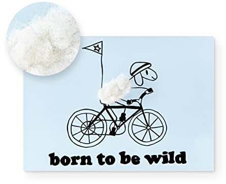 Inkognito Plüsch Postkarte | Anlass: ''lustiger Spruch'', Motiv: Fahrrad ''born to be wild'' | Künstler: Barbara Dienz-Sengmüller | Art-Nr.: 20829 | vom Berliner Verlag