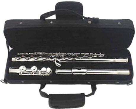 Silberne Querflöte für Anfänger mit Hülle für 16 C-Schlüssel, Schüler-Instrument