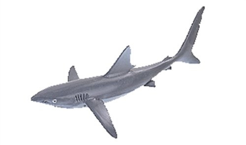 Schleich - Requin bleu, Jouet Requin, Jouet, Enfants, Enfants de tout genre