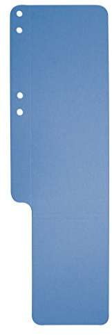 Exacompta 13707B Aktenschwänze (aus Recycling-Karton, 100 x 318 mm) 8 x 100er Pack, blau