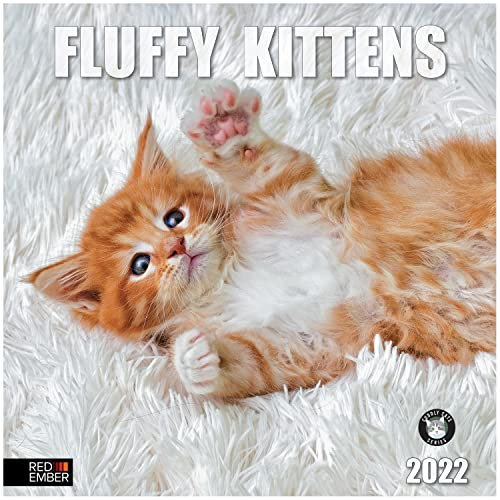 RED EMBER Flauschige Kätzchen 2022 Wandkalender zum Aufhängen – 30,5 x 61 cm geöffnet – dickes und stabiles Papier – Geschenk – extra flauschig, extra niedlich