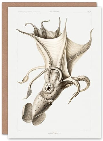 Artery8 Carl Chun Art Card Cockeyed Squid Vintage Illustration