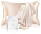 LOOMBERRY 100% Natural 22 Momme Pure Mulberry Silk Pillowcase for Hair and Skin Both Sides 22 Momme Highest Grade 6A with Hidden Zipper (Beige, Standard (50x66CM))