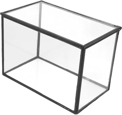 KONTONTY Terrario De Vidrio Transparente para Plantas Suculentas Recipiente Decorativo para Micro Paisaje DIY Jardín Interior Maceta Artística para Flores y Musgo