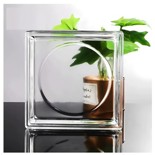 Briques de cristal rectangulaires, Cloisons en verre carrées creuses transparentes 190 x 190 x 50 mm, haute transparence, isolation phonique et thermique(Clear-e)