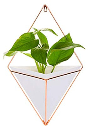 Tactfulw Acryl Blumentopf Eisen Pflanzenhalter Set Innen hängend Vase Wand-Dekor Weiße