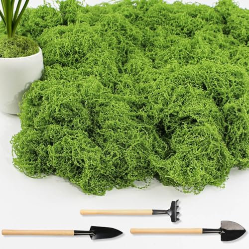 Annyswit 150g Kunstmoos zum Basteln und Dekorieren, Künstliches Moos mit Gartenwerkzeugen, Moos Deko, Islandmoos, Kunst moos Fake dekomoos bastelmoos für Wandgestaltung Krippe Aquarium Modellbau