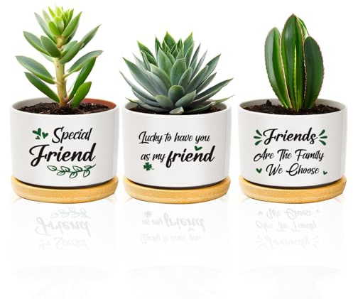 Friendship Gifts for Women,Best Funny Friend Ceramic Flower Plant Bonsai Pots Planters And Trays Birthday Christmas Valentines Galentines New Year Gifts Present for Women Female Men Indoor And Outdoor