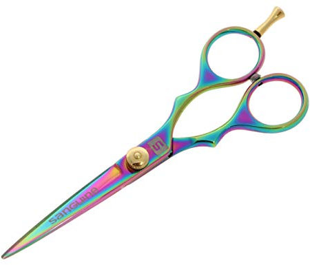 Ciseaux de Coiffure De Style Japonais 15,2 cm. Taille Parfaite Pour Tous Les Besoins De Coupe De Cheveux, Couleur Titane + Étui