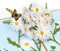 Lovepop Margeriten mit Monarch Schmetterling Pop Up Karte - 3D Karten, Schmetterling Pop Up Karte, Frühlingskarte, Karte für Frau, Geburtstag Pop Up Karte, Sommerkarte