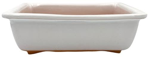 FRANCACOR Maceta TERRINA Bonsai Barro ESMALTADO Colores (21.5 X 14.5 X 7 CMS, Blanco)