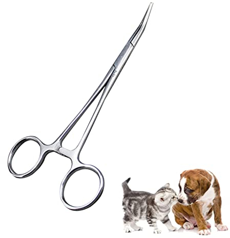 Pinzette per Peli Dell'orecchio Dell'animale Domestico, Pinze per Peli di Gatto Acciaio Inossidabile, Pinza per Capelli per Orecchie di Cane, Pinze Veterinarie, Pinza per Rimuovere Peli di Animali