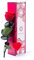 Rosen-Te-Amo | Infinity Rose am Stiel - Rosenduft |Echte Rose Valentine Edition in Geschenkbox |Geburtstagsgeschenk für Frauen|Konservierte Blume zum Weihnachten, Valentinstag, Mama, Dekogeschenk