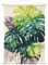 Bilderwelten Wandteppich Exotisches Blattwerk - Monstera grün Botanik Holzstäbe Wandbehang XXL 165x110 cm Wandtuch Wandbild Tapisserie