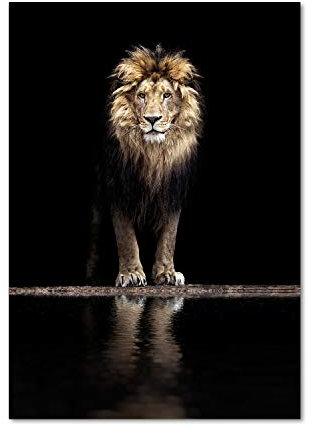 Tulup Impression sur Verre 70x100 cm Image Tableau Photo décorative panoramique pour la Cuisine et Le Salon - Animaux - Portrait d'un Lion - Noir